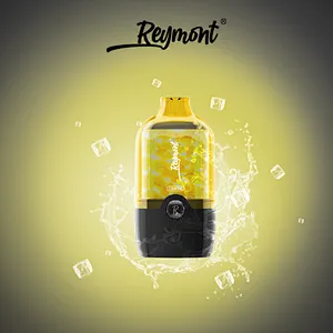 Reymont CB8000 Puffs Big Puff and Pure Taste Mesh Coil Disposable Electronic  Cigarette Vape Pen - ReyMont Technology Co., Ltd.
